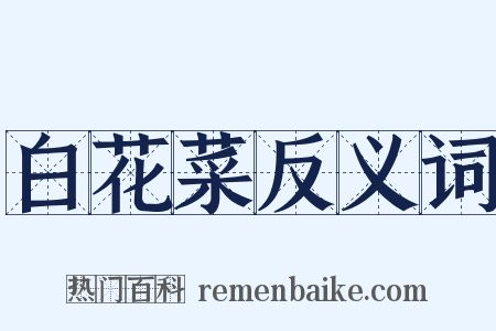 白花菜反义词是什么意思的图片